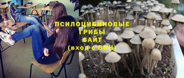 мдма Богородицк