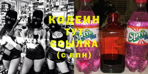 шишки Белоозёрский