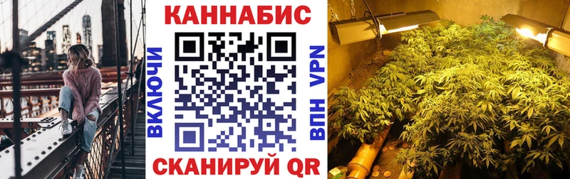 Марихуана план  закладки  Касли 